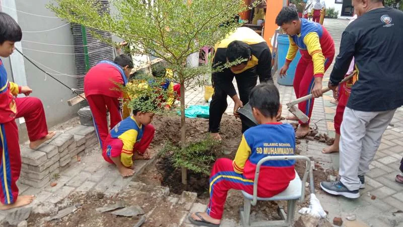 Tanam Ketapang Kencana di SD Muhtar, Semarakkan Milad Aisyiyah