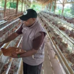 Kisah Perjuangan Mahasiswa Papua di Umgo