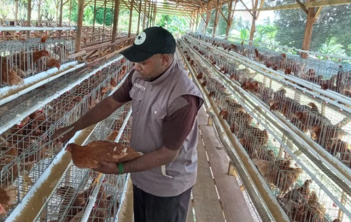 Kisah Perjuangan Mahasiswa Papua di Umgo