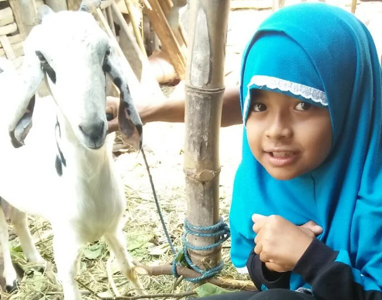 Uang Jajan Ditabung Selama Setahun, Impian Gadis Kecil Ini untuk Membeli Kambing Korban Terwujud Tahun Ini