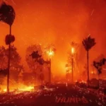 Membaca Kebakaran Los Angeles dengan Akal Sehat