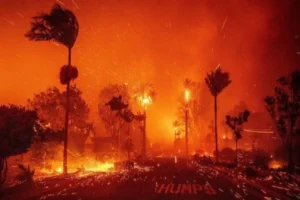 Membaca Kebakaran Los Angeles dengan Akal Sehat