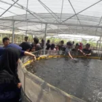 Aisyiyah Gelar Pelatihan Anak Putus Sekolah