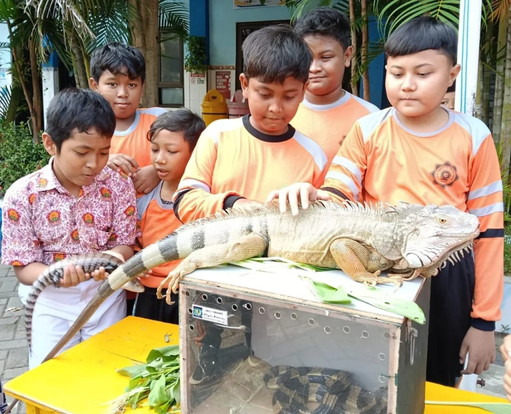 Hari Ketiga MPLS SD Muwri Semarak Bersama Family Satwa Sidoarjo