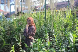 Alumnus Pendidikan Biologi UMM Sukses Jadi Pengusaha Anggrek, Omzet Lebih Dari 50 Juta