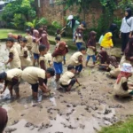 Outing Class TK ABA 6 Surabaya: Serunya Belajar di Alam