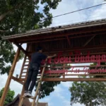 Mengintip Penanaman Bunga dan Pelestarian Taman Oleh Mahasiswa PMM UMM