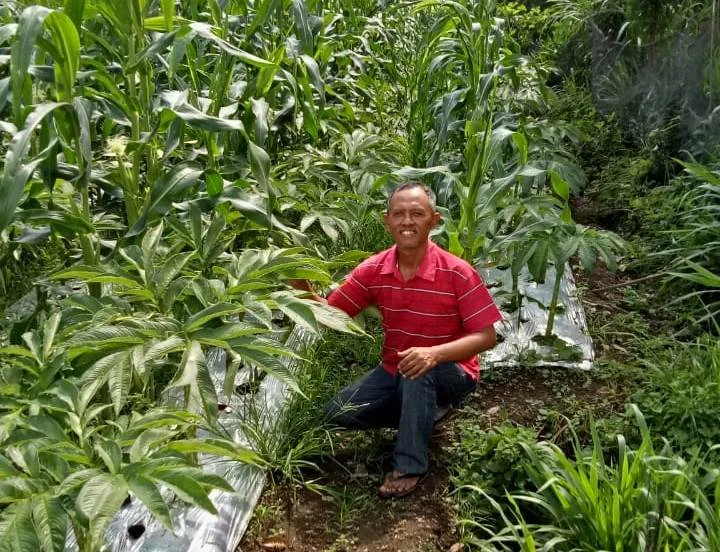 Majelis Pemberdayaan Masyarakat  Bentuk Jaringan Petani