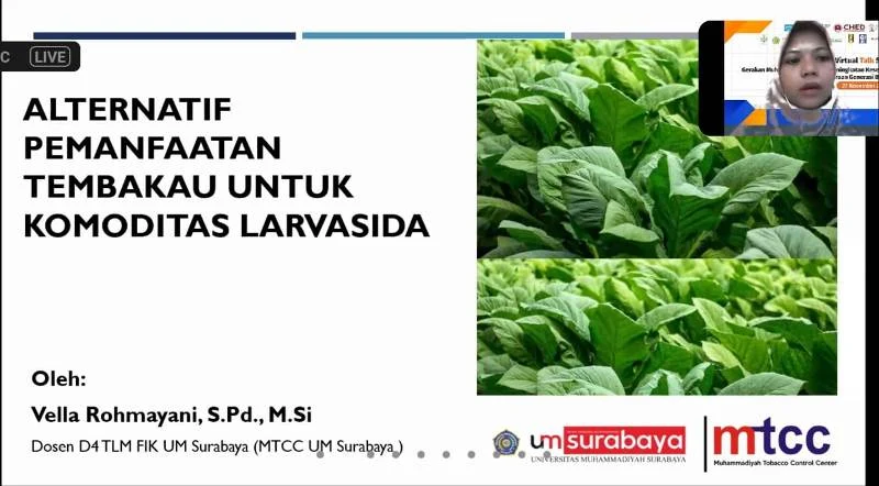 Pakar UMSurabaya: Tembakau Bisa Cegah Demam Berdarah