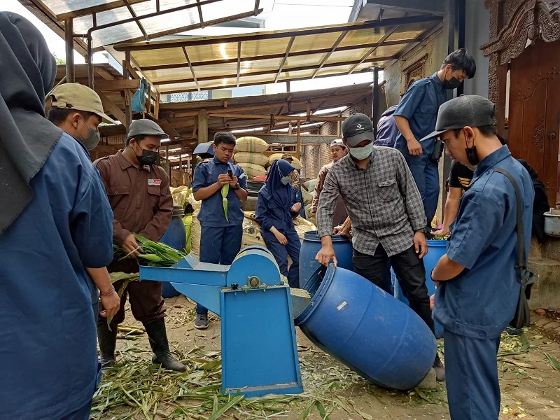 Mahasiswa UMM Ajarkan Beternak yang Benar