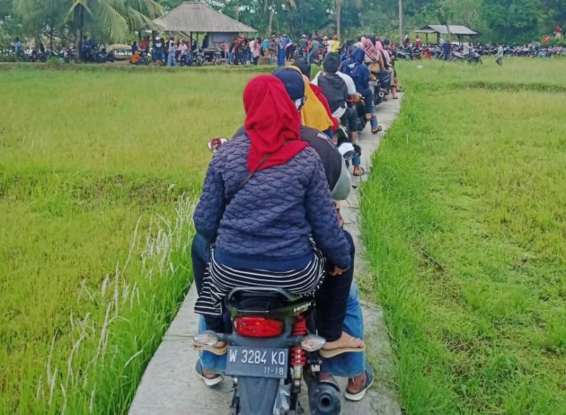 Pengunjung Ekowisata Mangrove Bawean Membeludak, Ini Antispasinya