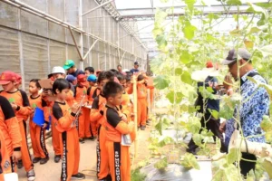 Belajar Seperti Ini Menjadikan Siswa Langsung Mencerna Pelajaran