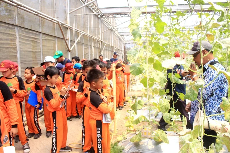 Belajar Seperti Ini Menjadikan Siswa Langsung Mencerna Pelajaran