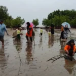 Family Gathering, Nasyiatul Aisiyah Bawean Tanam Pohon Mangrove