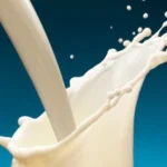 Waspada di Era Sosmed, agar Jangan Nila Setitik Rusak Susu Sebelanga