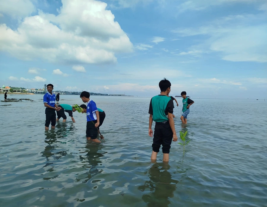 Outing Class Mamsaka: Belajar Cinta Lingkungan dengan Menanam Mangrove di Pantai Lorena