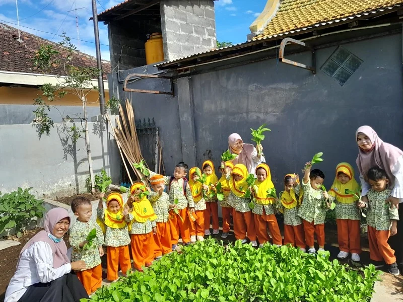 Serunya Siswa PAUD Aisyiyah Mentari Kota Probolinggo Panen Sawi