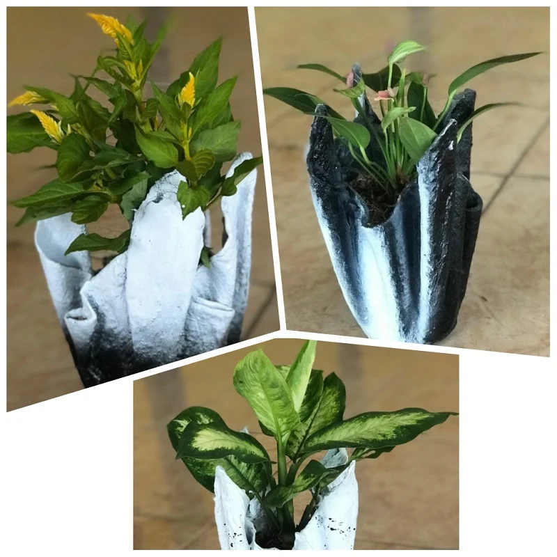 Pot Kreatif Mahasiswa UMM Tingkatkan Perekonomian Warga