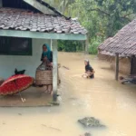 Pacitan Banjir, Begini Nenek Ini Selamatkan Ternaknya