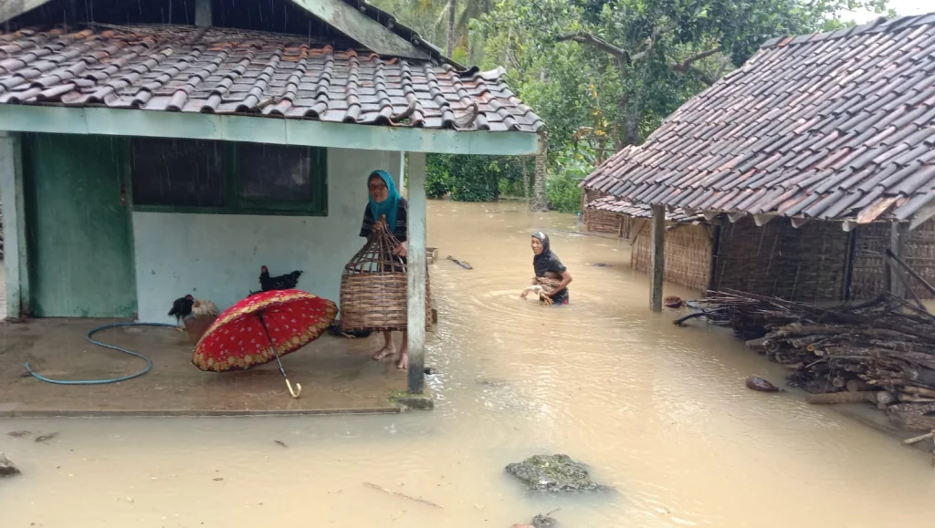 Pacitan Banjir, Begini Nenek Ini Selamatkan Ternaknya