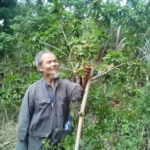 Di Bibir Kali Braholo yang Curam, Pak Manan Berkeinginan Buat Taman untuk Makmurkan Masjid At-Taqwa Sengkaling