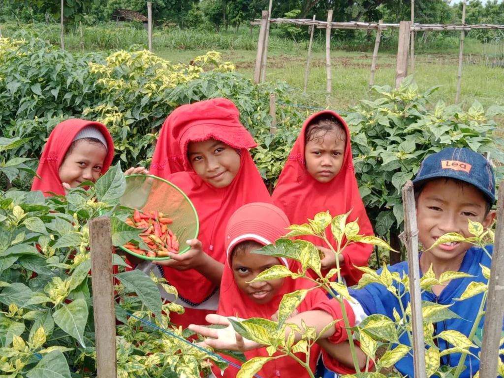 Cintai Alam, SD Almadany Kunjungi SMK Mulia
