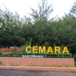 Pantai Cemara Banyuwangi, Destinasi Wisata dengan Konservasi Penyu