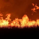 Tafsir Surat Al Buruj, Penguasa Zalim Benci Rakyat Beriman