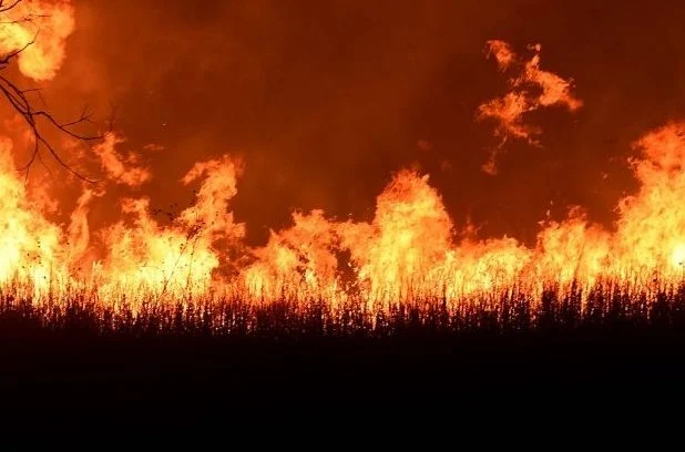 Tafsir Surat Al Buruj, Penguasa Zalim Benci Rakyat Beriman