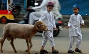 1 Kambing untuk Banyak Orang, Tetap Sah sebagai Ibadah Qurban