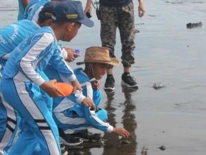 Asyiknya Melepas Anak Penyu di Pantai Cemara, Ini yang Dilakukan Siswa