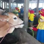 Outdoor Learning, Pengalaman Seru Siswa di Pabrik Ini