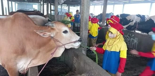 Outdoor Learning, Pengalaman Seru Siswa di Pabrik Ini