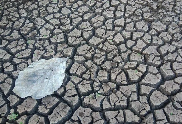 Perpecahan Umat, Inilah Pemicunya