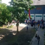 Sejarah Pohon Pule di SD Almadany