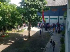 Sejarah Pohon Pule di SD Almadany