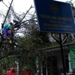 Butuh Bantuan, Ponpes Tahfidz Jember Rusak Diterjang Puting Beliung