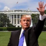 Ini Kata Imam Besar Masjid New York tentang Kekhawatiran Umat Islam Amerika terhadap Presiden Trump