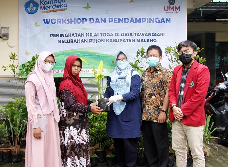 UMM Inisiasi Desa Tawangsari untuk Tingkatkan Nilai Tanaman Toga