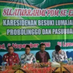 4 Kerja yang Dibutuhkan untuk Kembangkan Cabang-Ranting