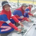 Buat Es Cream dan Berkebun Outdoor Activities Sekolah Alam Ini