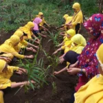 SD Muhammadiyah 12 Gelar Pelatihan Disiplin, Ini Hasilnya