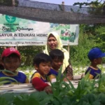 Belajar Budidaya Hidroponik, Sekolah Kreatif Menganti Ingin Bikin Kebun Sendiri
