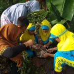 Tanggul Sungai Itu Diubah Anak-Anak Jadi Kebun Buah