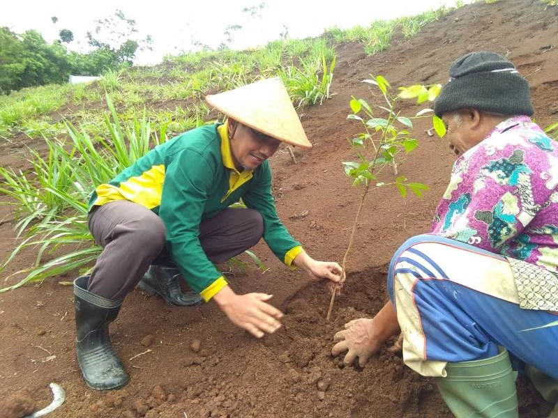 Reboisasi 500 Pohon di Bukit Gundul Bekas Bencana Pacitan
