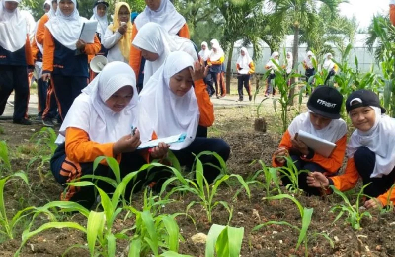 Kunjungi PJB Sambil Budidaya Sayur dan Buah Organik