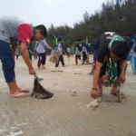 Diklat Selesai, Pandu HW Punguti Sampah Pantai Cemara