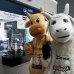 Penumpang Terkejut, Ada Sapi dan Domba Naik MRT