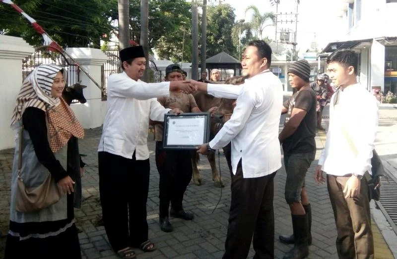 Umsida Terima Sapi Kurban dari BNI Syariah dan BSM