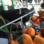 Outbound ke Kampung Sapi, Ini yang Paling Disukai Para Siswa